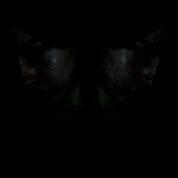 Urban Art Model: Sploffy