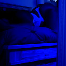 Wet Dreamzzz on the Bed