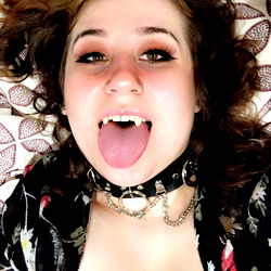 Beautiful Bee in Your Dad's House