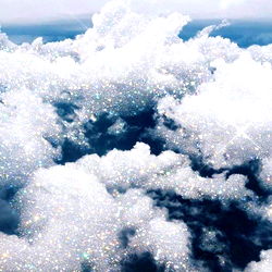 NASH || GNOMIE photo