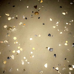 Allison on a beach at night