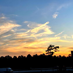 <3 Honey Bear Goby <3 photo