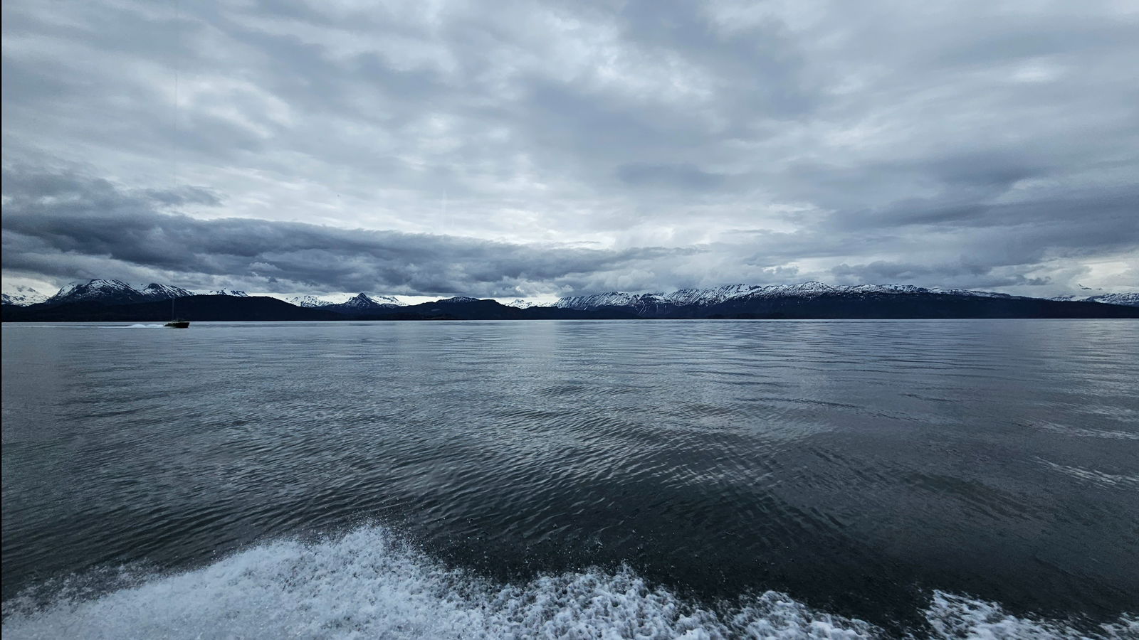 Anastasia Grace photo