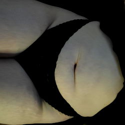 Rei - Free, from Illinois