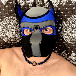 Adults Only: Pup Goose in Wisconsin