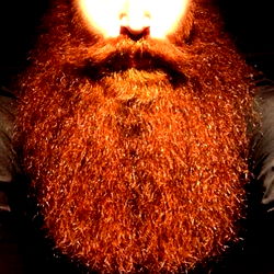 A Bearded Man with a Mustache and Goatee in a Studio