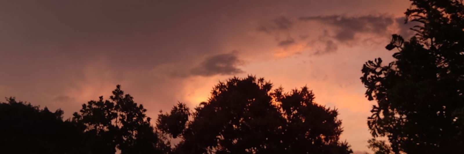 Alejo 🥞 🏳️‍⚧️ he/they photo