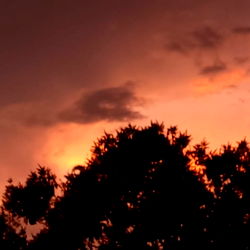 Alejo 🥞 🏳️‍⚧️ he/they photo