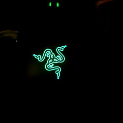 Gaming Laptop with OnlyFans Logo, Featuring a Green Glowing G