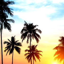 The Mandingo Club XXX VIP PREMIUM!! photo