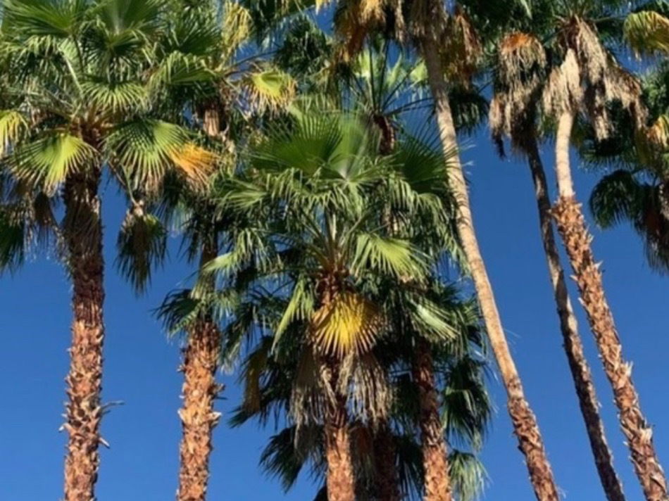 【﻿ＡｌｅｘｘＦｉｓｅｅ】 photo