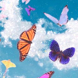 frankie ๐ฆ๐ photo