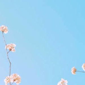 annika jacobsen photo