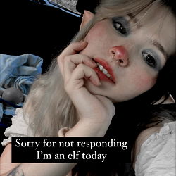 Yummy Bunny in the Driver's Seat