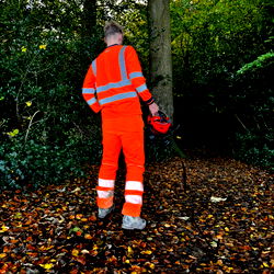 A Groundsman Working in a Park