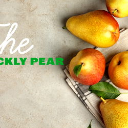 The Prickly Pear photo