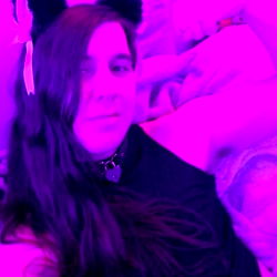 Morgan the Elegant Kitten