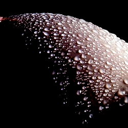 باربي 🫦👠 photo