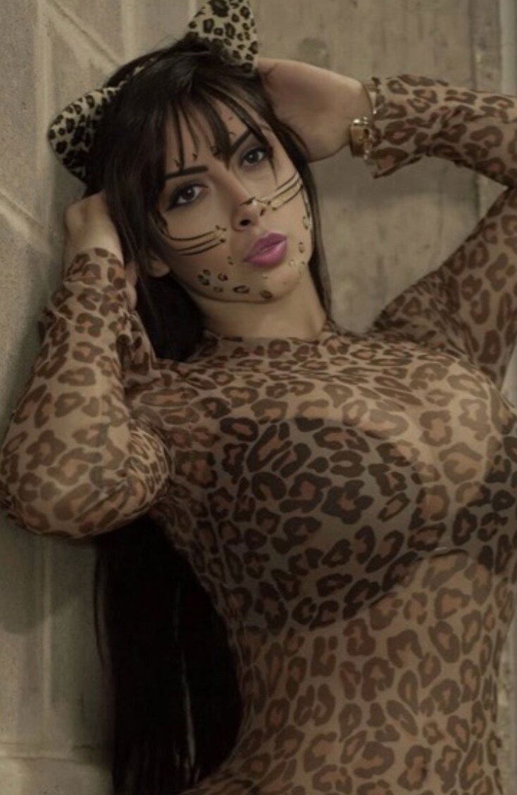 Gatita 🇨🇴 photo