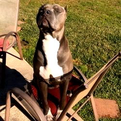 Onlyfans Model Ashley