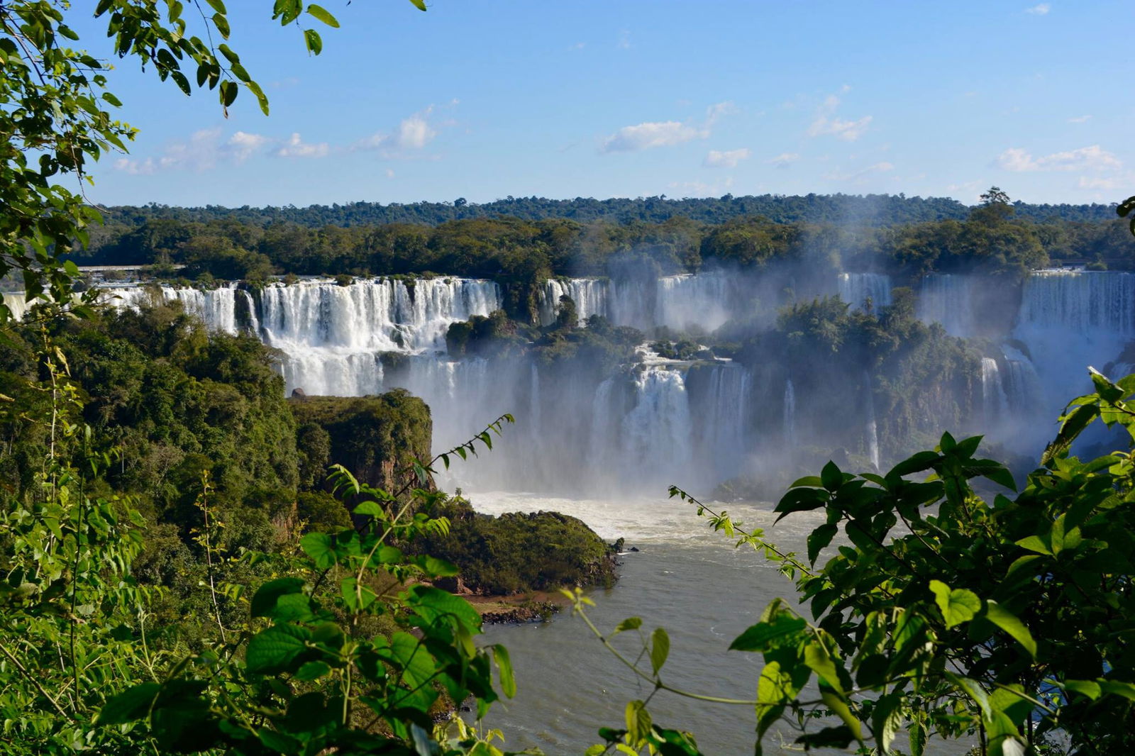 Rodion Romanovich, Ph.D. photo