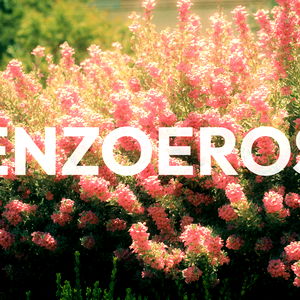 EnzoEros - 9โbwc๐ photo