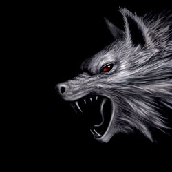 Artwork of Xander D. Model Photo