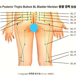 Aroma Massage 마사지 マッサージ photo