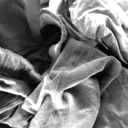 lofi domestica photo