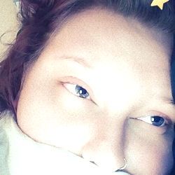 Scournful Pigeon in a Cozy, Starlit Setting