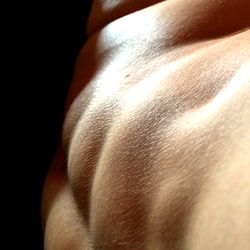 Polish Pocket Pig photo