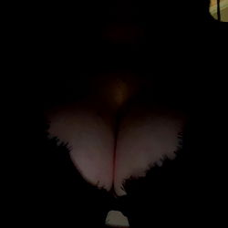 Kia Rose: Melbourne Victoria