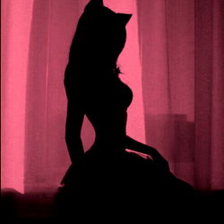 Seductive Silhouette of Abby, an OnlyFans Model in a Cat Costume