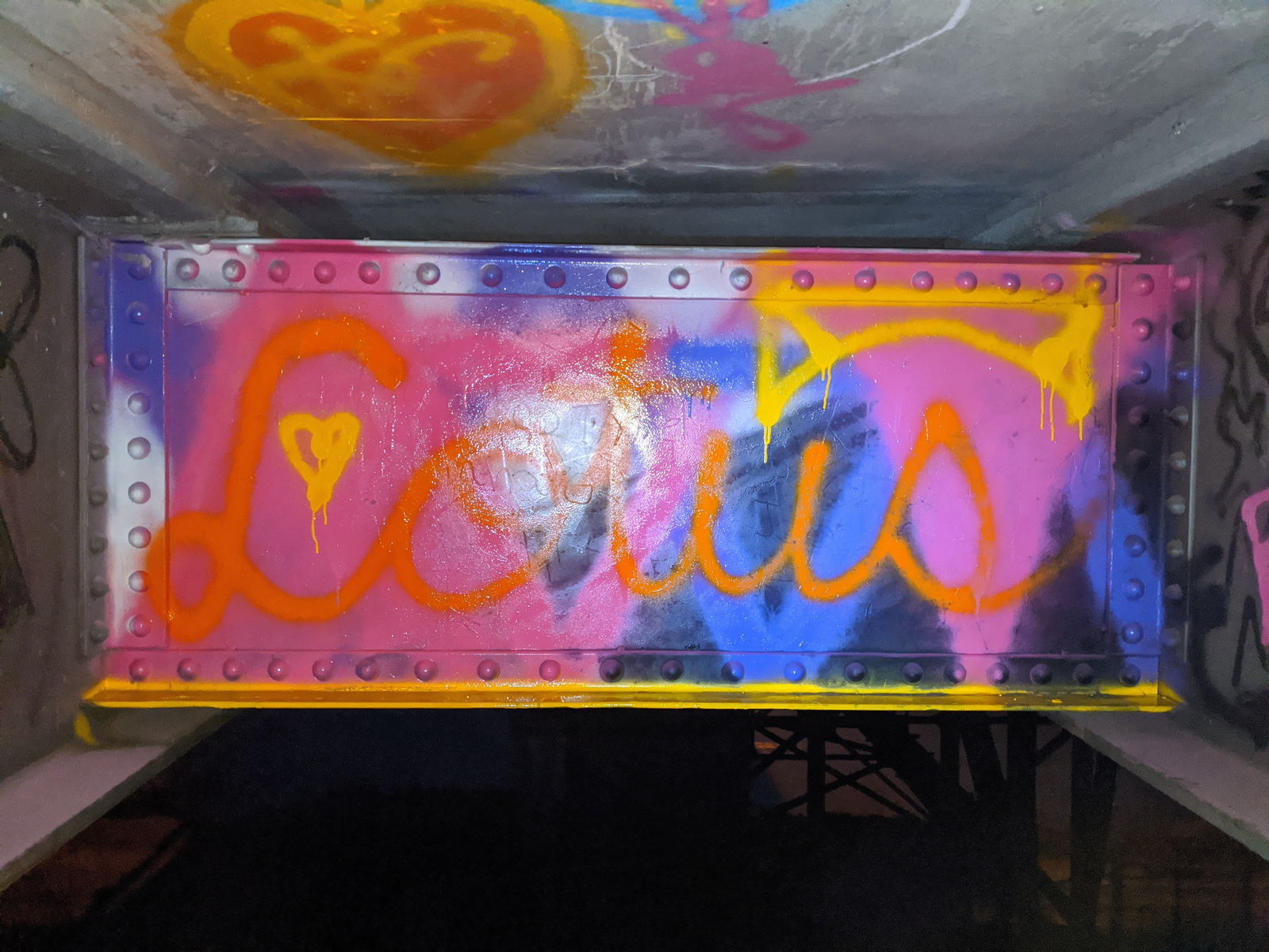 A Wild Butterfly photo