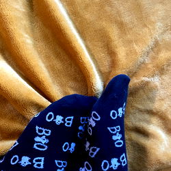 Savannah Jones's OnlyFans Fan Cloth