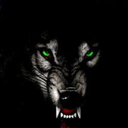 Wolf's Curse: A Paranormal Adventure