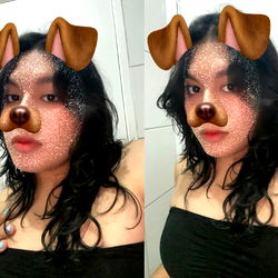 Playful Dog Face Filters on Instagram