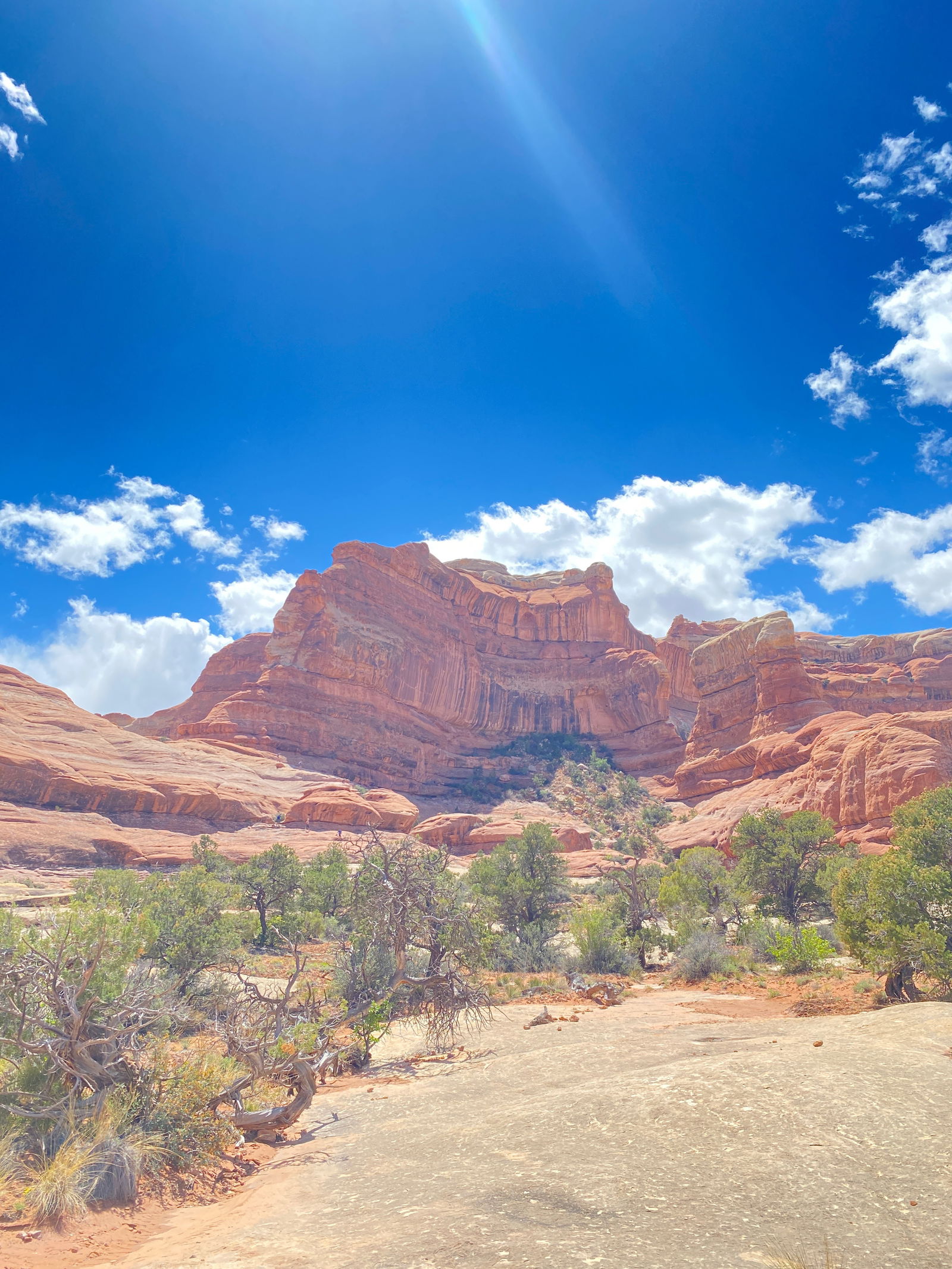 Adventure Soles photo