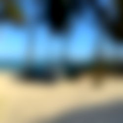 Andrรฉs Soto photo