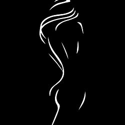 Fashionable Figure Silhouette