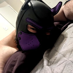 Ansreth - Purple Dog Mask