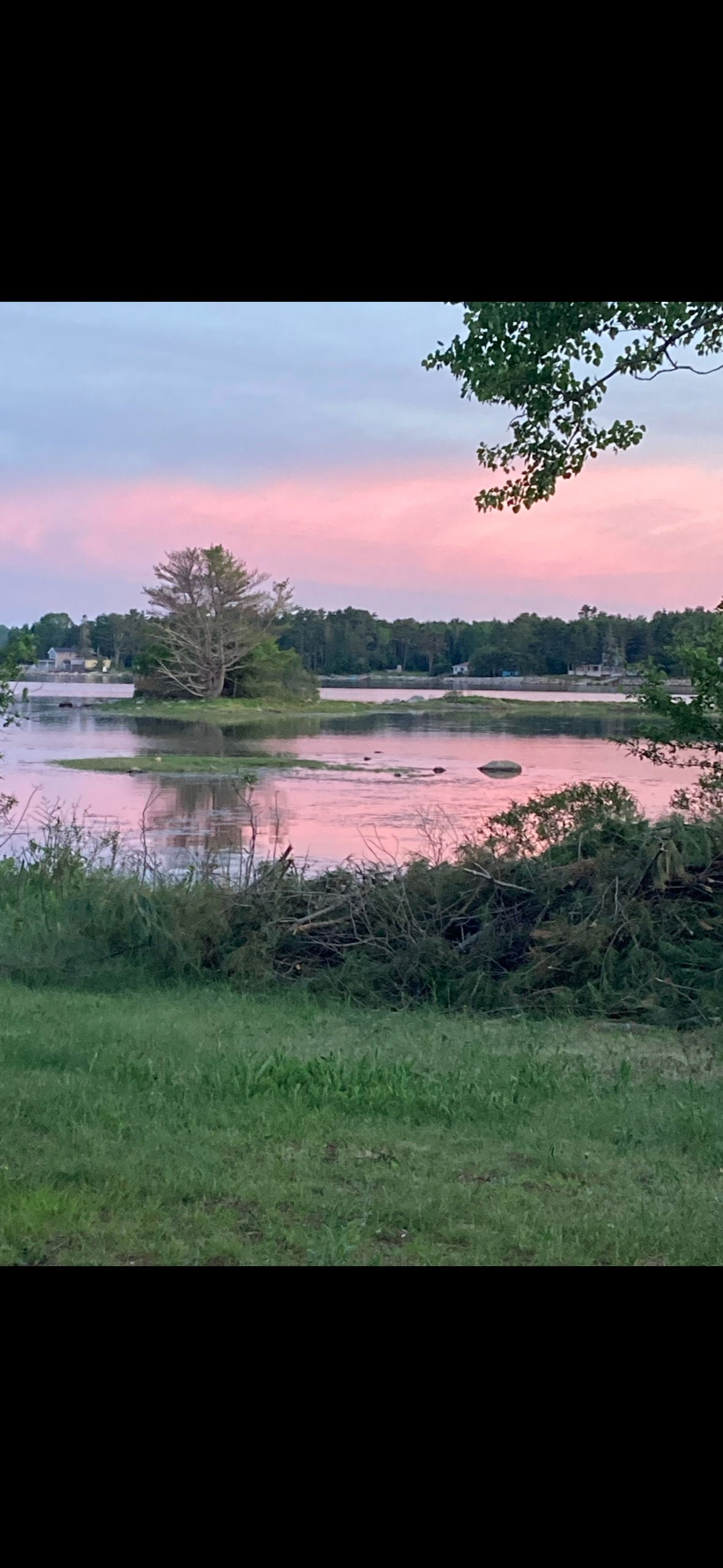 Sex Positive Granny photo