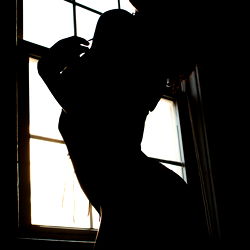 Aster Luci in Silhouette