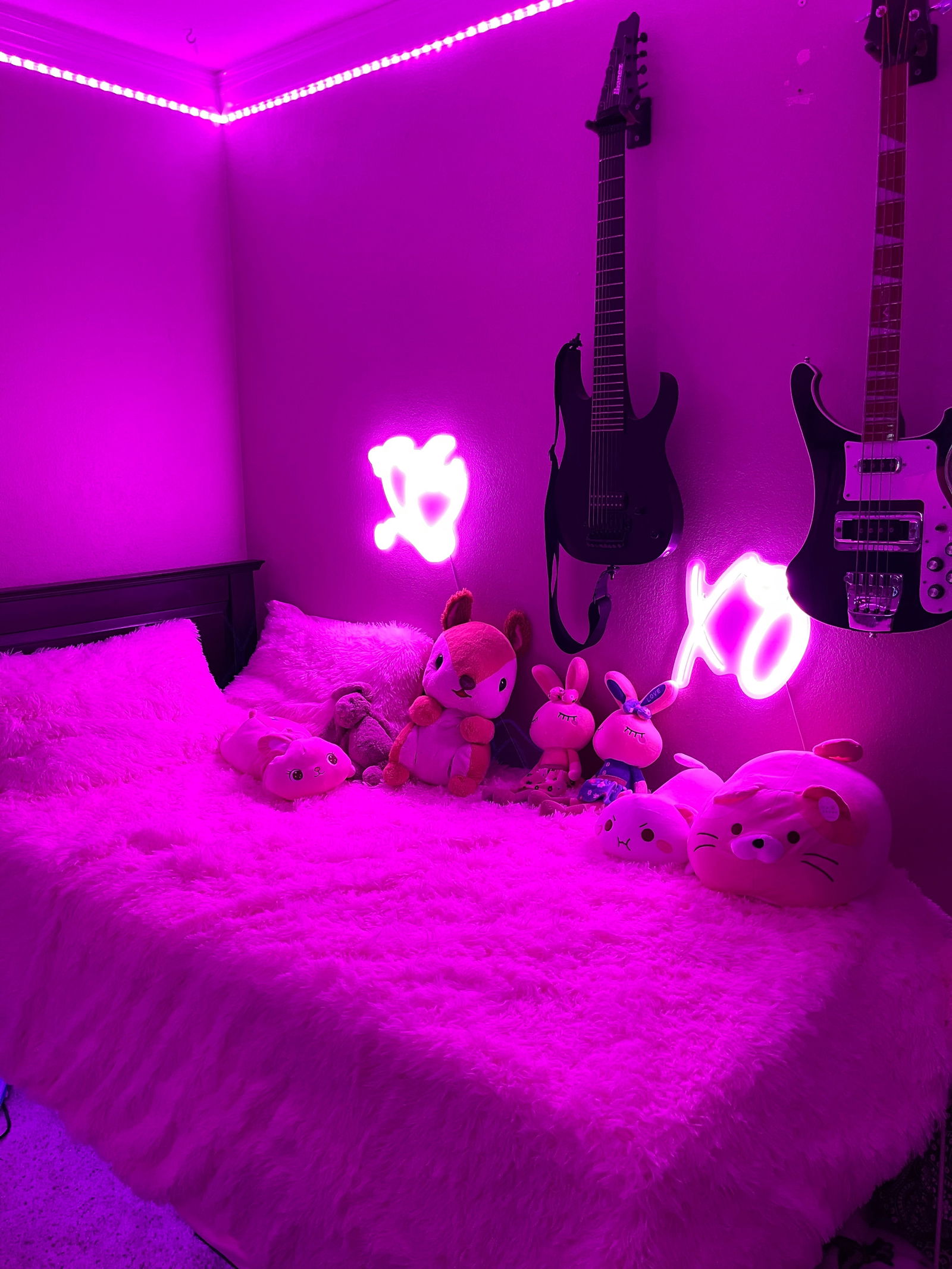 Ashley “Funny Bunny” Williams photo