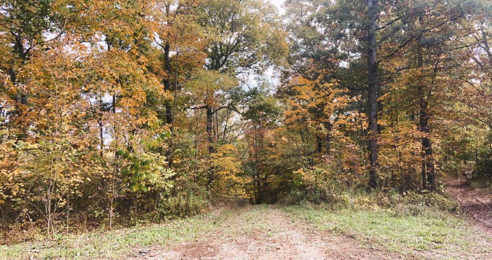 LilnaughtyMama photo