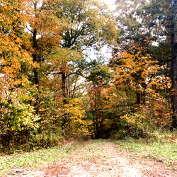 LilnaughtyMama photo