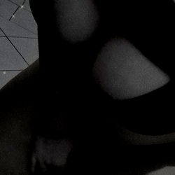 Sweet Lucie's Stylish Corner