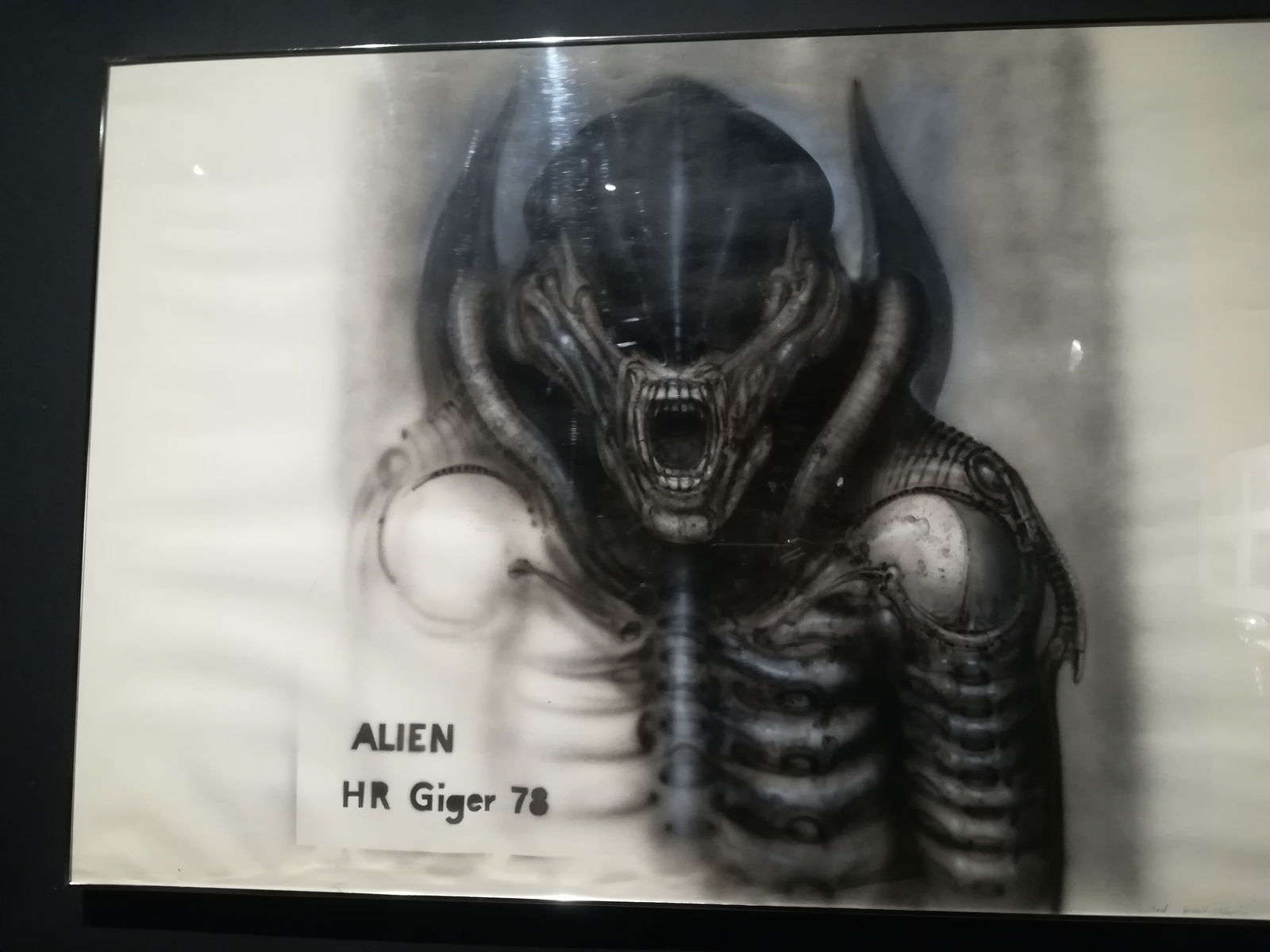 Angélica Black photo