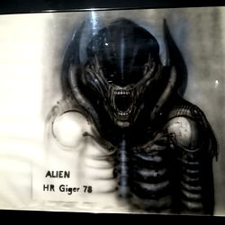 Angélica Black photo