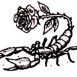 Seductive Scorpio 🖤 photo